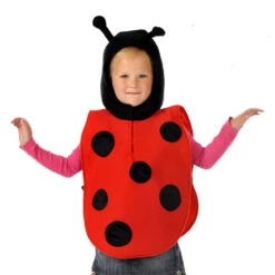 Children's Ladybird Fancy Dress Tabard