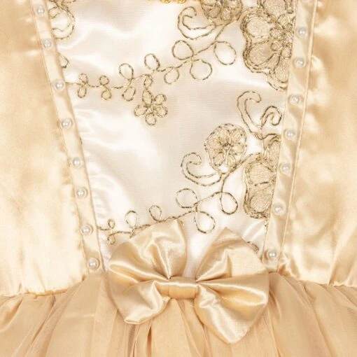 Gold Princess Dress - Image 4