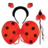 Ladybird Wings, Headband & Wand Set -Dreamy Outfits Shop Ladybird wings and accessories set