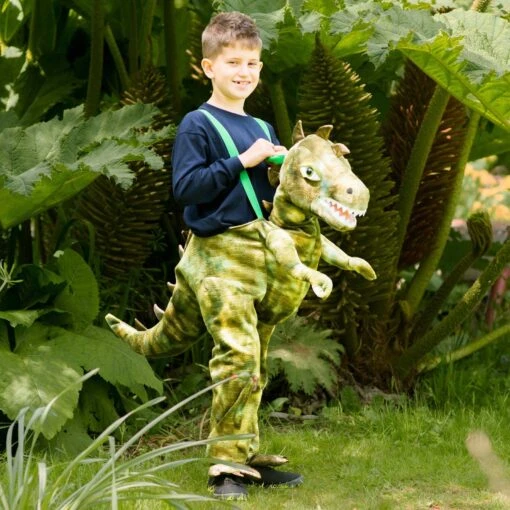 Children's Ride In Dinosaur Dressing Up