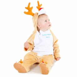 Personalised Rudolph Reindeer Fancy Dress Costume