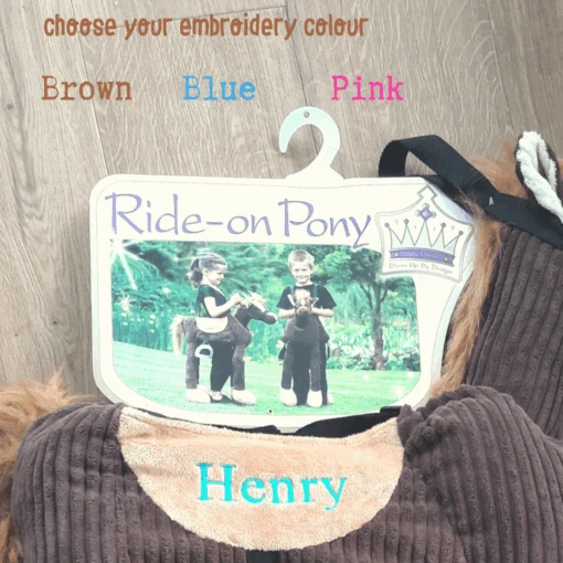 Children's Ride On Pony - Personalised - Image 7