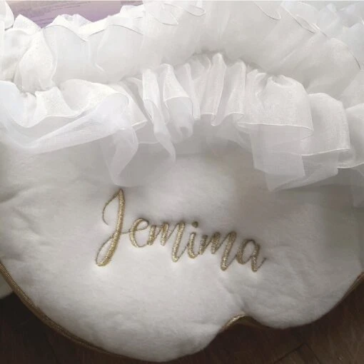 Children's Ride On Glide On Swan Costume- Personalised - Image 3
